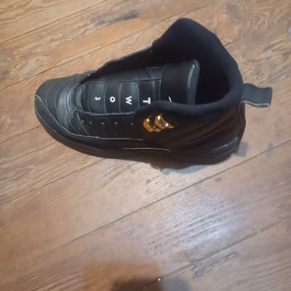 Jordan 12s retro the master